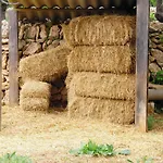 Santa Eulalia